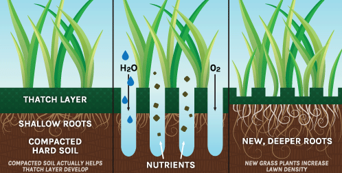 aeration